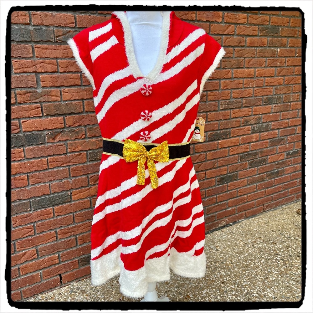 NWT Holiday Sweater Dress